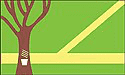 Bandeira Assis Brasil AC bandeira Assis Brasil AC
