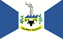 Bandeira Delmiro Gouveia AL bandeira Delmiro Gouveia AL