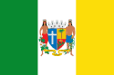 Bandeira Palmeira dos Índios AL bandeira Palmeira dos Índios AL