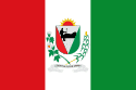 Bandeira União dos Palmares AL bandeira União dos Palmares AL