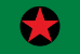 Bandeira Ipixuna AC bandeira Ipixuna AC