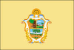 Bandeira Manaus AM bandeira Manaus AM