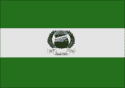 Bandeira Anori AM bandeira Anori AM