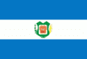 Bandeira Borba AM bandeira Borba AM