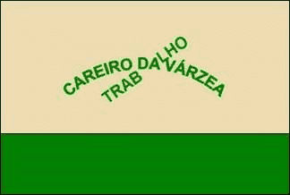 Bandeira Careiro da Várzea AM bandeira Careiro da Várzea AM