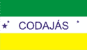 Bandeira Codajás AM bandeira Codajás AM
