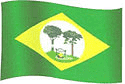 Bandeira Japurá AM bandeira Japurá AM