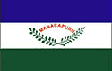 Bandeira Manacapuru AM bandeira Manacapuru AM