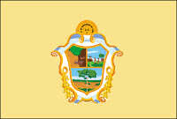 Bandeira Manaus AM bandeira Manaus AM
