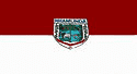 Bandeira Nhamundá AM bandeira Nhamundá AM