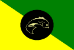 Bandeira Calçoene AP bandeira Calçoene AP