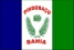 Bandeira Pindobaçu BA bandeira Pindobaçu BA