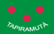 Bandeira Tapiramutá BA bandeira Tapiramutá BA