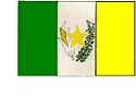 Bandeira Guajeru BA bandeira Guajeru BA