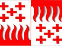 Bandeira Jeremoabo BA bandeira Jeremoabo BA
