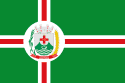Bandeira Paramirim BA bandeira Paramirim BA