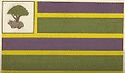 Bandeira Jaguaribe CE bandeira Jaguaribe CE