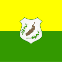 Bandeira Pereiro CE bandeira Pereiro CE
