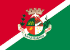 Bandeira Baixo Guandu ES bandeira Baixo Guandu ES