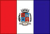 Bandeira Iúna ES bandeira Iúna ES