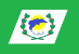Bandeira São Domingos do Norte ES bandeira São Domingos do Norte ES