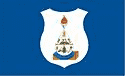 Bandeira Barra de São Francisco ES bandeira Barra de São Francisco ES