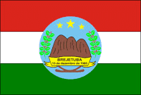 Bandeira Brejetuba ES bandeira Brejetuba ES
