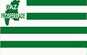 Bandeira Jerônimo Monteiro ES bandeira Jerônimo Monteiro ES