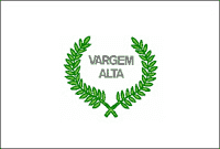 Bandeira Vargem Alta ES bandeira Vargem Alta ES