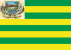 Bandeira Pontalina GO bandeira Pontalina GO