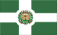 Bandeira Santo Antônio de Goiás GO bandeira Santo Antônio de Goiás GO