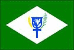 Bandeira Trombas GO bandeira Trombas GO