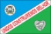Bandeira Vicentinópolis GO bandeira Vicentinópolis GO