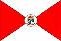Bandeira Abadia de Goiás GO bandeira Abadia de Goiás GO