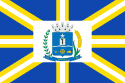 Bandeira Anápolis GO bandeira Anápolis GO