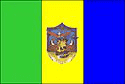 Bandeira Anicuns GO bandeira Anicuns GO