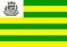 Bandeira Damolândia GO bandeira Damolândia GO