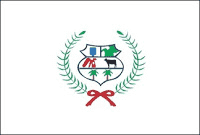 Bandeira Formoso GO bandeira Formoso GO