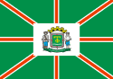 Bandeira Goiânia GO bandeira Goiânia GO
