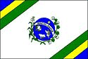 Bandeira Inaciolândia GO bandeira Inaciolândia GO