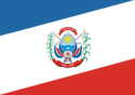 Bandeira Itumbiara GO bandeira Itumbiara GO