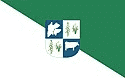 Bandeira Joviânia GO bandeira Joviânia GO