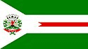 Bandeira Morrinhos GO bandeira Morrinhos GO