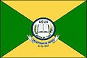 Bandeira Palestina de Goiás GO bandeira Palestina de Goiás GO