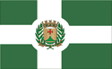 Bandeira Santo Antônio de Goiás GO bandeira Santo Antônio de Goiás GO