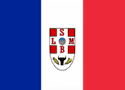 Bandeira São Luís de Montes Belos GO bandeira São Luís de Montes Belos GO