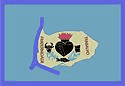 Bandeira São Miguel do Araguaia GO bandeira São Miguel do Araguaia GO