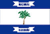 Bandeira Bacabal MA bandeira Bacabal MA