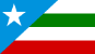 Bandeira Bom Jesus das Selvas MA bandeira Bom Jesus das Selvas MA