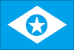 Bandeira Godofredo Viana MA bandeira Godofredo Viana MA